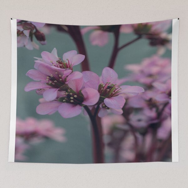 Item preview, Spring designed and sold by BeSafeRs.