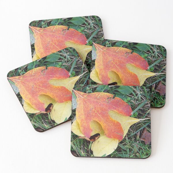 Item preview, Sassafras leaves designed and sold by J Rier Photography.
