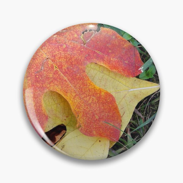 Item preview, Sassafras leaves designed and sold by J Rier Photography.