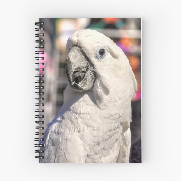 Item preview, Sweet Cockatoo. designed and sold by Michelle DuBose.