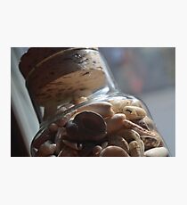 Jar of Shells Photographic Print