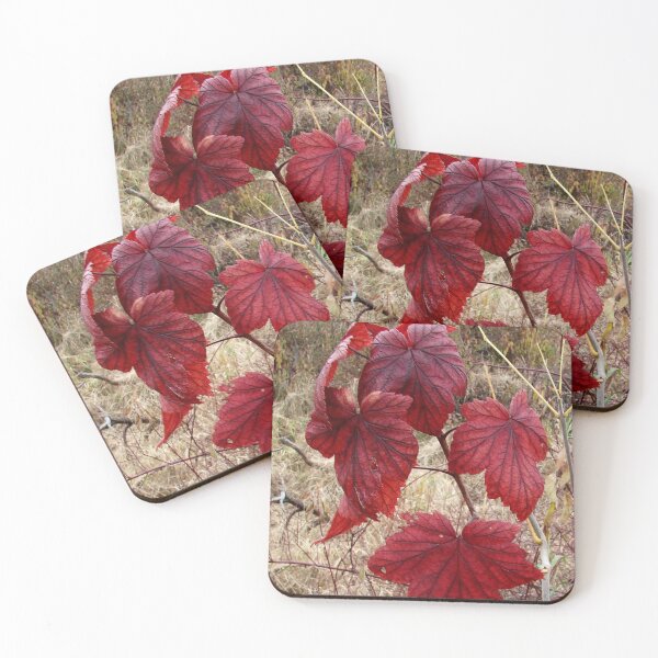 Artikelvorschau, Red Leaves entworfen und verkauft von J Rier Photography.