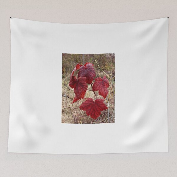 Artikelvorschau, Red Leaves entworfen und verkauft von J Rier Photography.