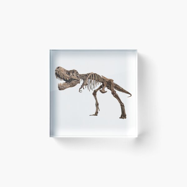 Item preview, tyrannosaurus rex designed and sold by obscurite.