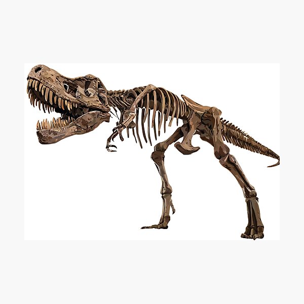 Item preview, tyrannosaurus rex designed and sold by obscurite.