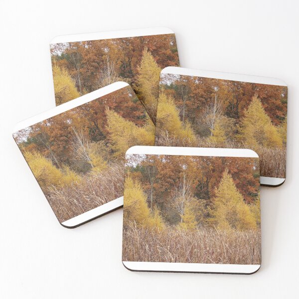 Item preview, Tamaracks designed and sold by J Rier Photography.