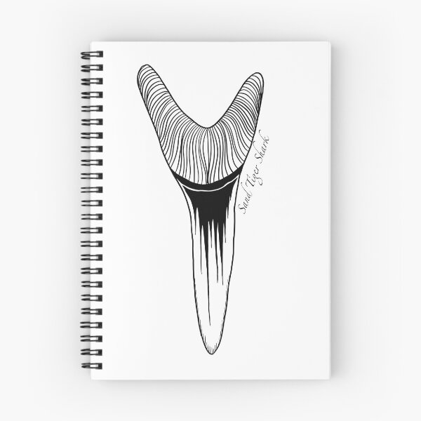 Item preview, Sand Tiger Shark Tooth designed and sold by taylorksea.