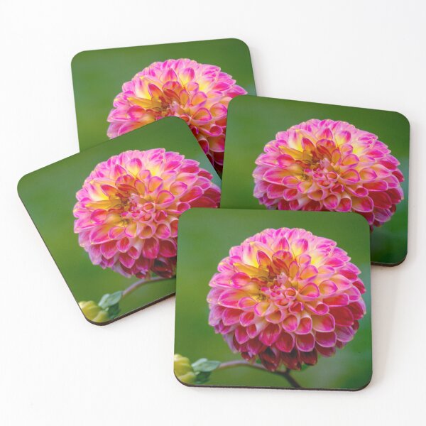 Item preview, Pink Dahlia in Bloom designed and sold by Steven Jodoin.