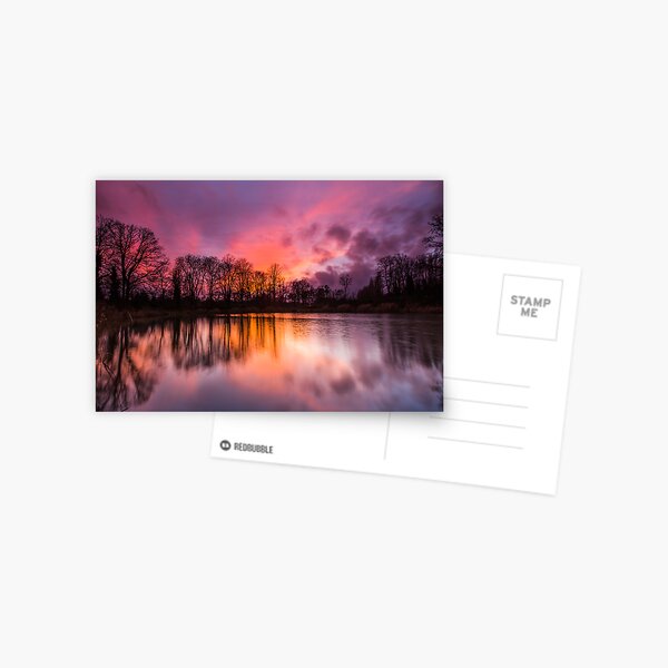 Solstice Sunset Postcard