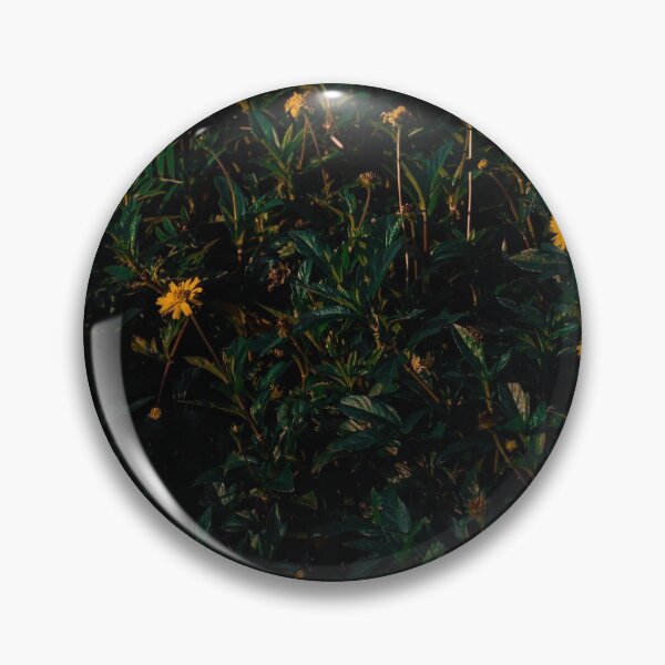 Aperçu de l'œuvre Vue sur la nature de tournesol créée et vendue par FelipeWork10.