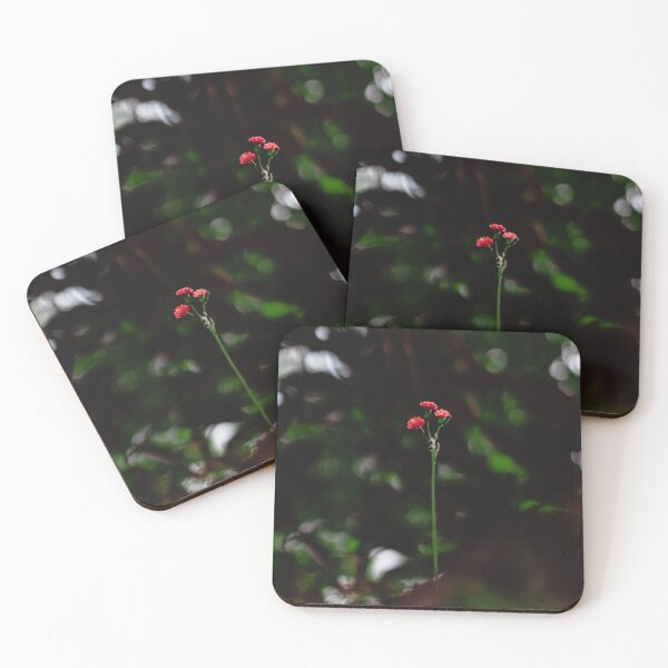 Artikelvorschau, Zarte und seltene Blume entworfen und verkauft von FelipeWork10.