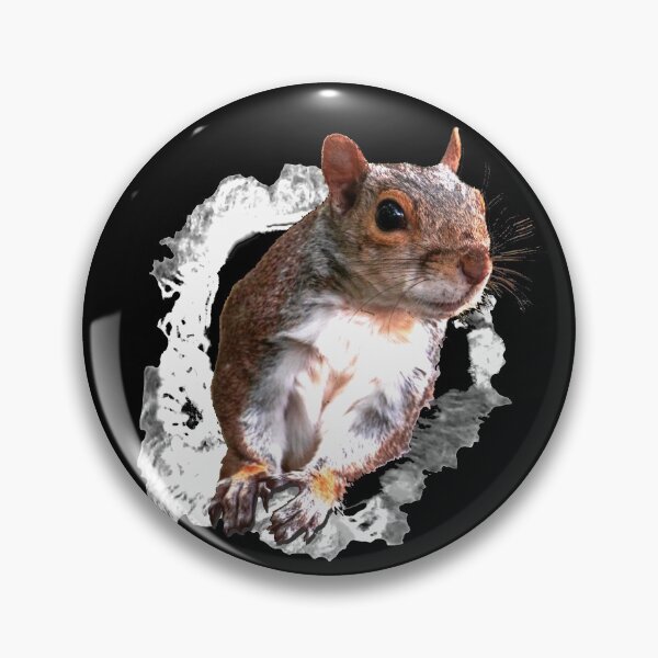 Item preview, Animals Squirrel designed and sold by RiffXS.