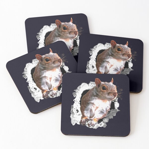 Item preview, Animals Squirrel designed and sold by RiffXS.