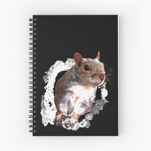 Item preview, Animals Squirrel designed and sold by RiffXS.