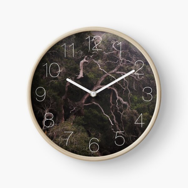 Item preview, The Old Oak Tree, Prisoners Harbor, Santa Cruz Island designed and sold by Douglas E. Welch Design and Photography.