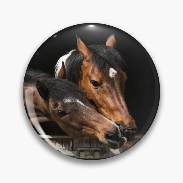 Artikelvorschau, Beste Freunde entworfen und verkauft von horseymj1.