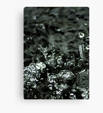 Waterdrops Canvas Print