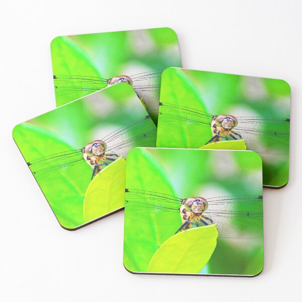 Item preview, Dragonfly panoramic designed and sold by David Lee Thompson.