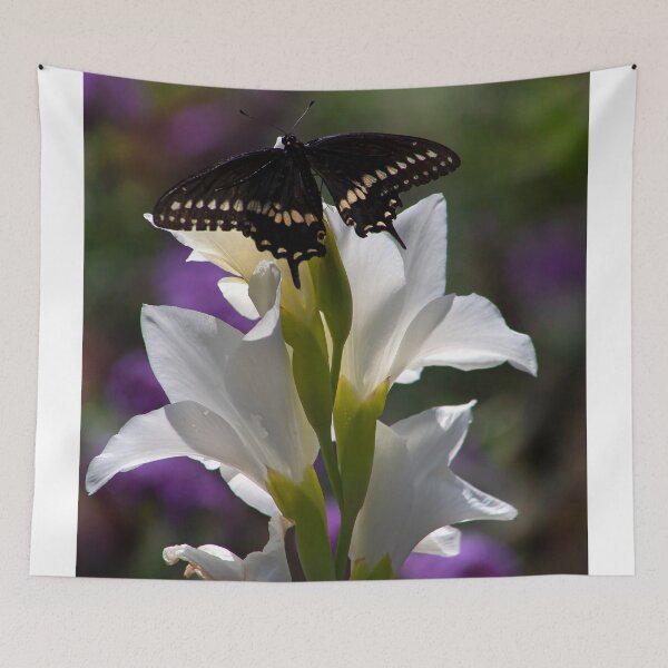 Item preview, It Finally Landed on the Gladiolus designed and sold by Adam Bykowski.