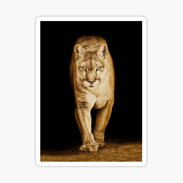 Mountain Lion Woodburning by Minisa Robinson Sticker