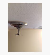 fire sprinkler, a Photographic Print