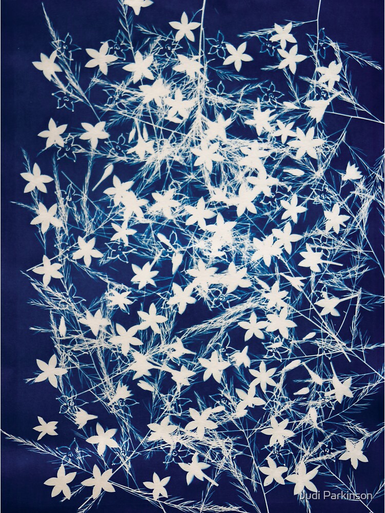 Delicate Penta Flowers and Fern Sprigs in Blue and White Cyanotype. by judip4