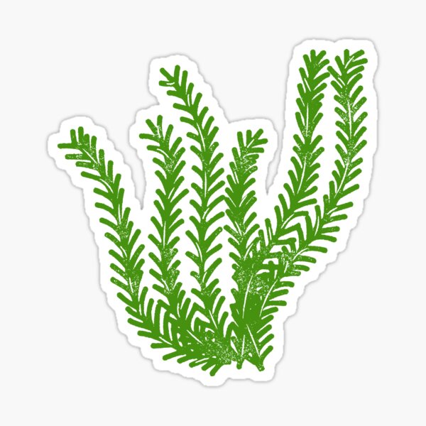 Plant Stickers for Sale