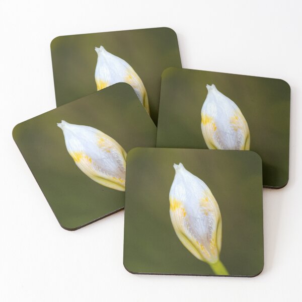 Item preview, Lily Textured Bud designed and sold by Joy Watson - Natural Light Photography .