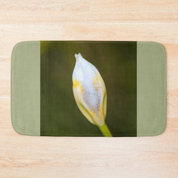 Aperçu de l'œuvre Bourgeon texturé Lily créée et vendue par Joy Watson - Natural Light Photography .