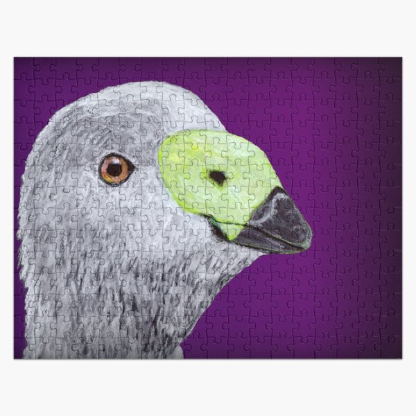 Cape Barren Goose (Cereopsis) Jigsaw Puzzle