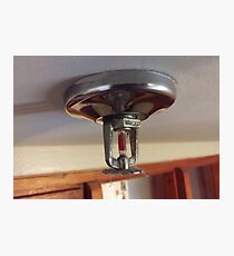 fire sprinkler, c Photographic Print