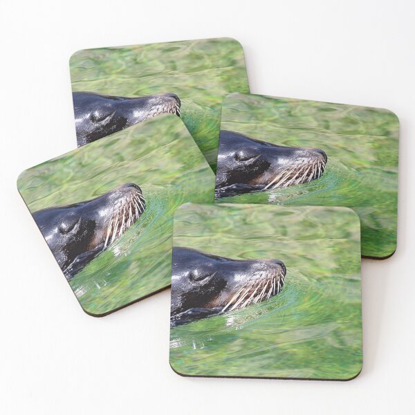 Item preview, SEALION designed and sold by BOLLA67.