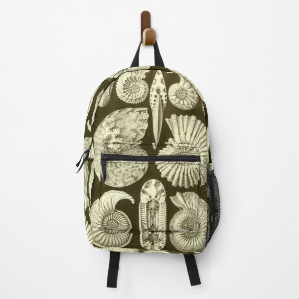 Item preview, Ammonite Fossils designed and sold by BlueSpecsStudio.