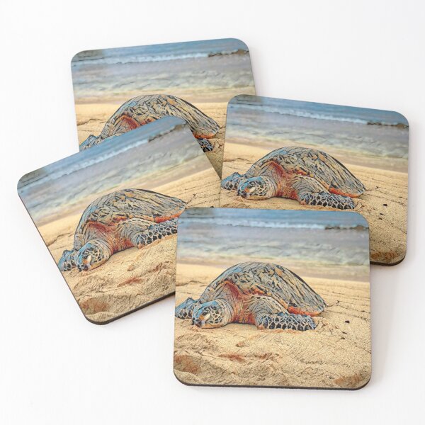 Item preview, Coming Ashore - Turtle designed and sold by Marlene Watson-Hall.