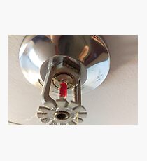 fire sprinkler, f Photographic Print