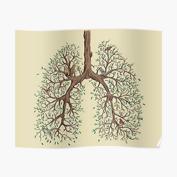Tree Lungs Poster