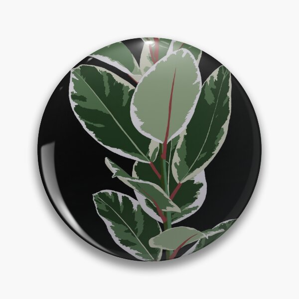 Item preview, Variegated Rubber Plant designed and sold by kaberman.