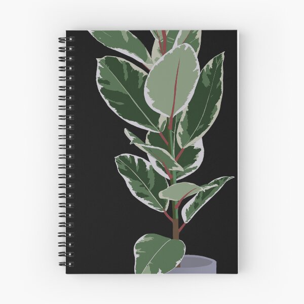 Item preview, Variegated Rubber Plant designed and sold by kaberman.