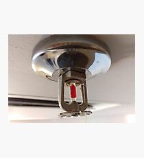 fire sprinkler, i Photographic Print