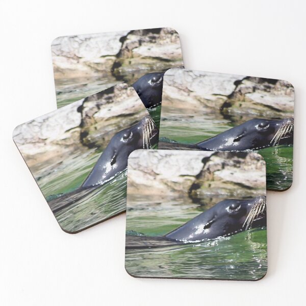 Item preview, GLIDING THRU WATER designed and sold by BOLLA67.