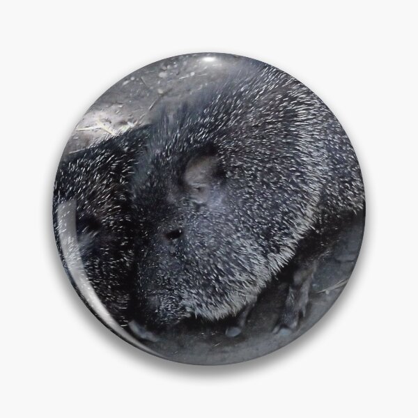 Item preview, PECCARY designed and sold by BOLLA67.