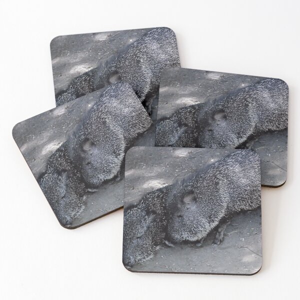 Item preview, PECCARY designed and sold by BOLLA67.