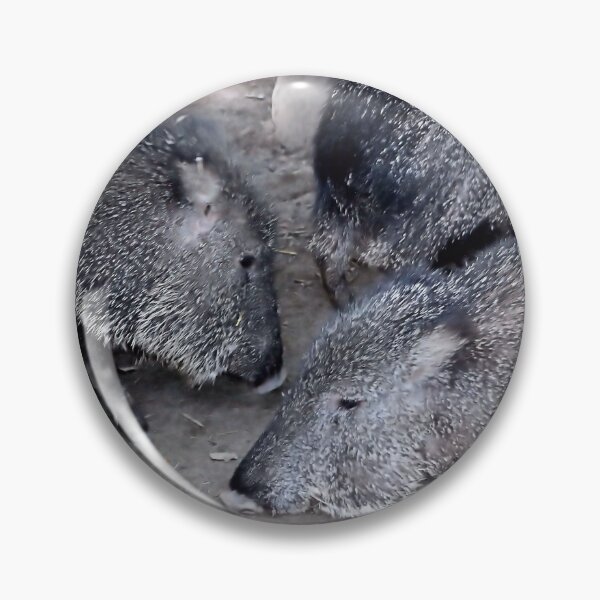 Item preview, CHACOAN PECCARY designed and sold by BOLLA67.