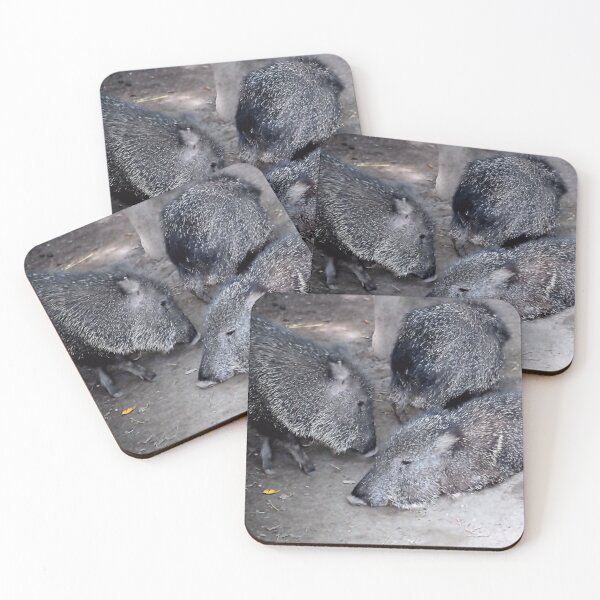 Item preview, CHACOAN PECCARY designed and sold by BOLLA67.
