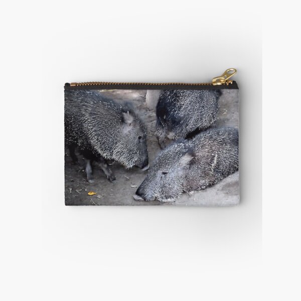 Item preview, CHACOAN PECCARY designed and sold by BOLLA67.