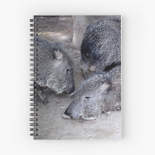Item preview, CHACOAN PECCARY designed and sold by BOLLA67.
