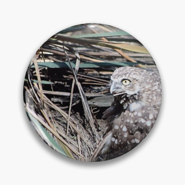 Item preview, SHARP EYES designed and sold by BOLLA67.