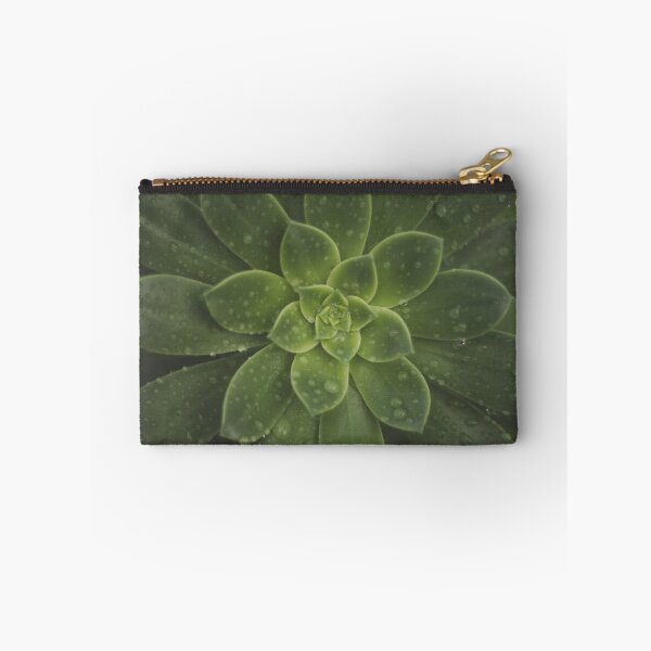 Item preview, Succulent designed and sold by Aaron  Wahab.