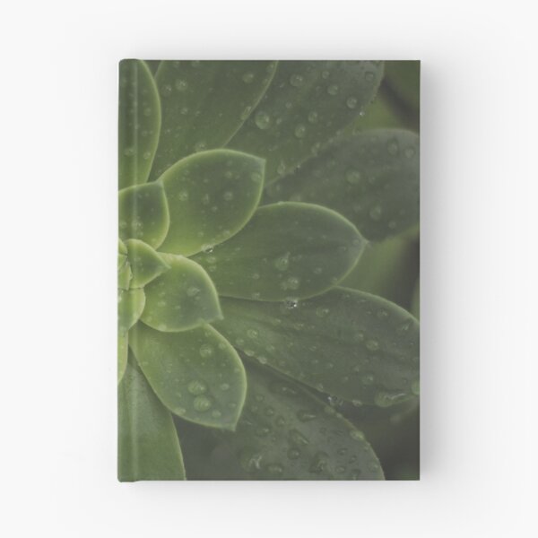 Item preview, Succulent designed and sold by Aaron  Wahab.