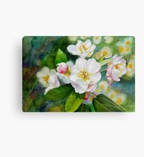 Sakura Cherry Blossom Metal Print